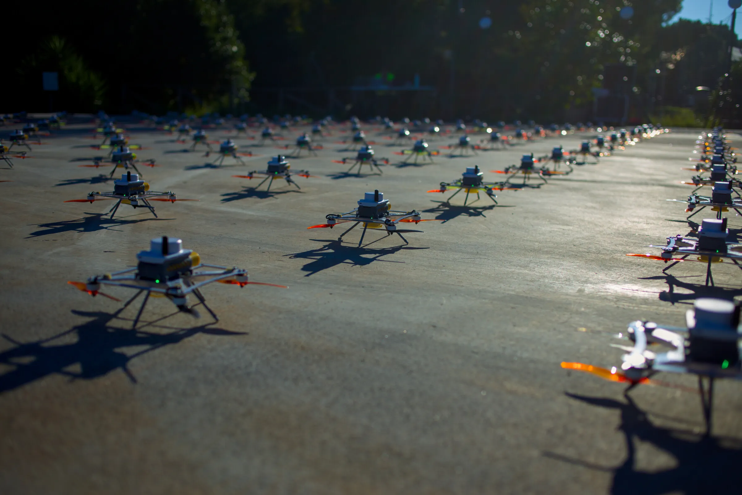 Flotta LuminousBee nella luce dell'ora dorata