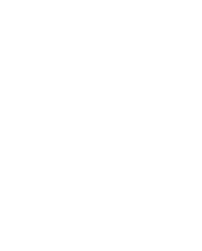 CIMA Foundation logo