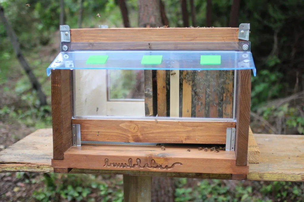 Esterno dell'arnia trasparente di ricerca